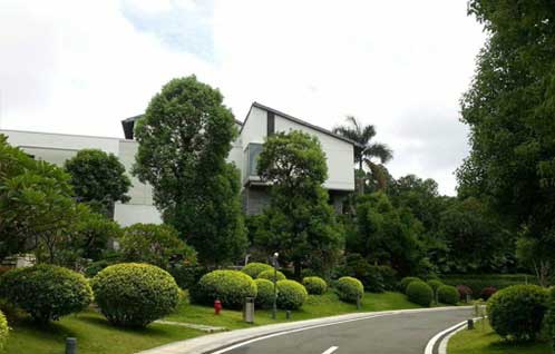 園林(lín)綠(lǜ)化(huà)